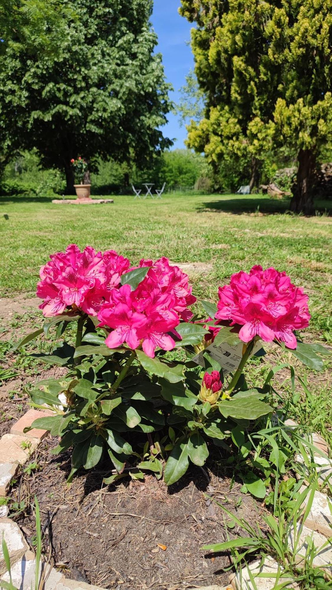La Rose Paisible Hotel Brusson Екстериор снимка